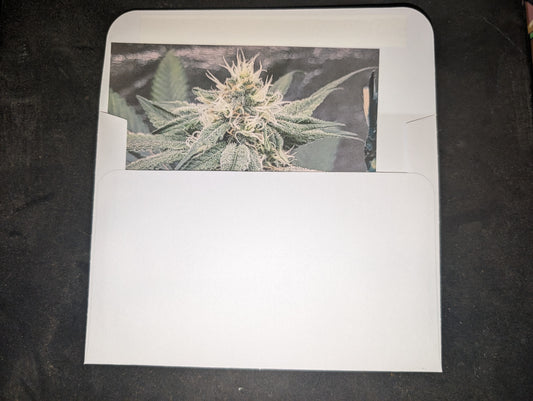 Postcard 10 Northern Lights