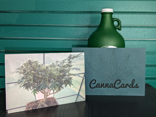 Greeting Card 10 Extended Warranty