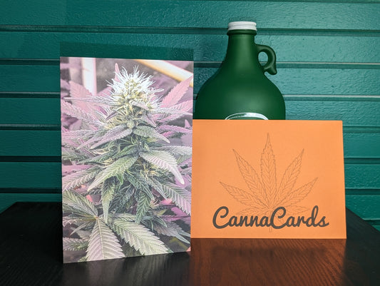 Greeting Card 11 Just Wanted To Say