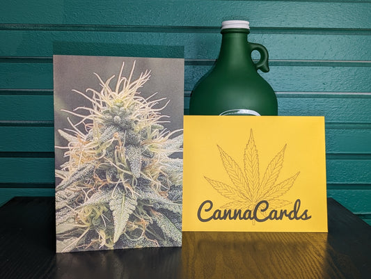 Greeting Card 12 You're Amazing