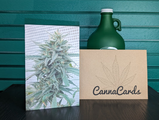 Greeting Card 15 Proud Of You