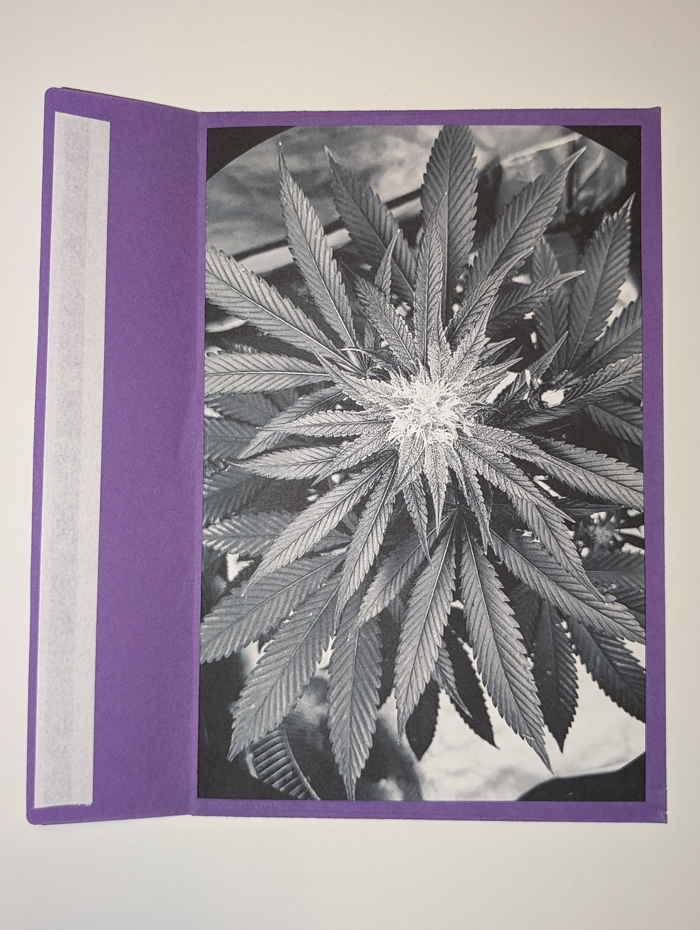 Greeting Card 16 Let's Blaze