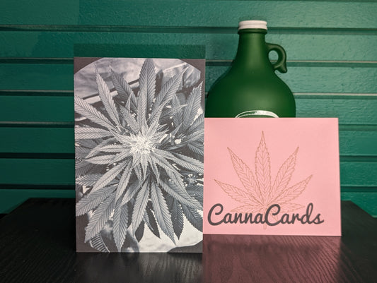 Greeting Card 16 Let's Blaze