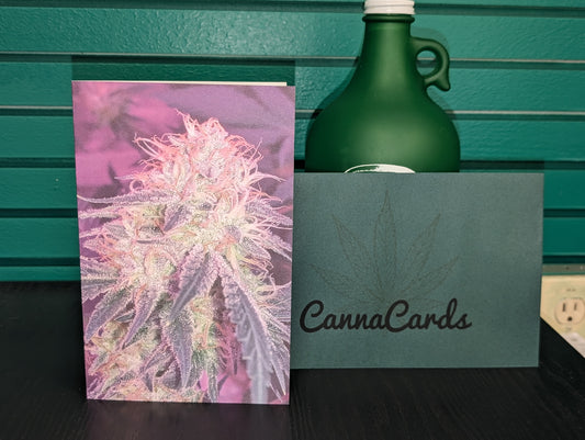 Greeting Card 01 I'd Hit That