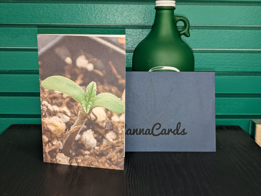 Greeting Card 02 Happy Birthday