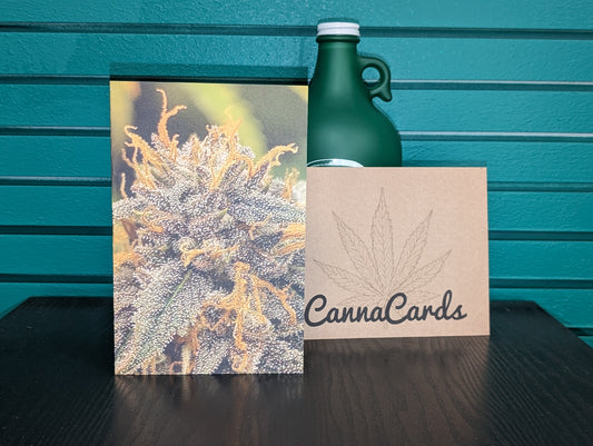 Greeting Card 04 You're The Best