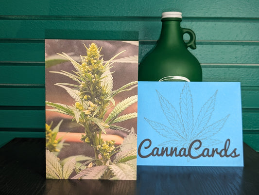 Greeting Card 05 Thinking Of You