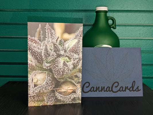 Greeting Card 06 Congratulations