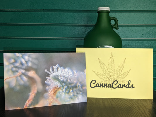 Greeting Card 07 Get Better Soon