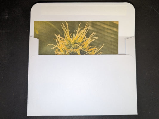 Postcard 12 Pineapple Upside Down Cake