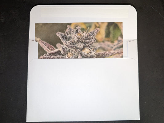 Postcard 13 Purple Terps