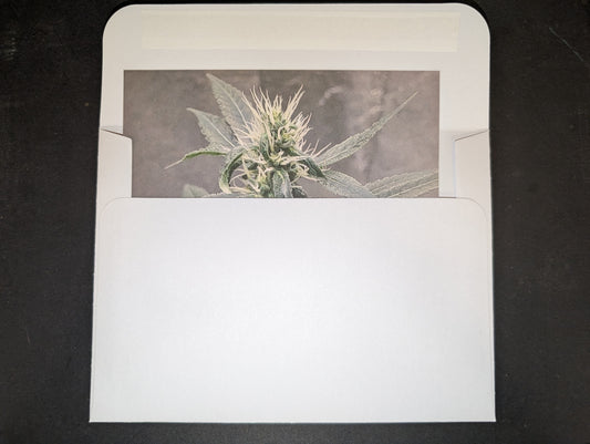 Postcard 14 Sour Cookies