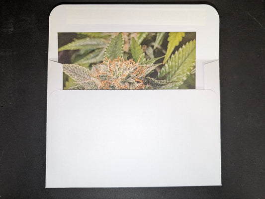 Postcard 16 Wedding Cake