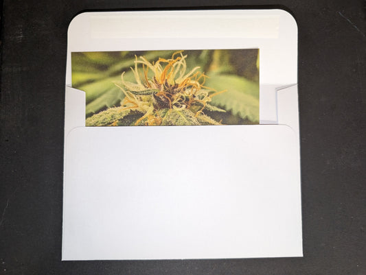 Postcard 03 Blackberry Fire