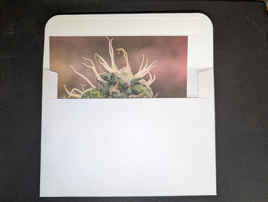 Postcard 05 Blue Dream