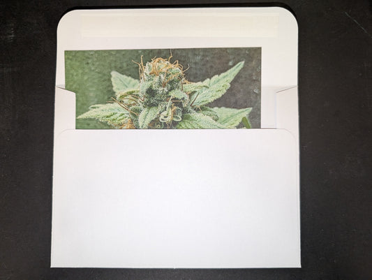 Postcard 06 Blueberry Muffin