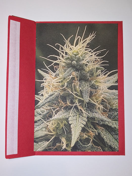 Greeting Card 12 You're Amazing