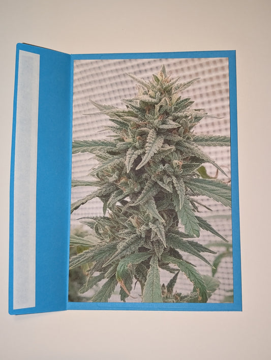 Greeting Card 15 Proud Of You