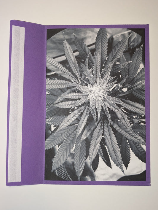 Greeting Card 16 Let's Blaze