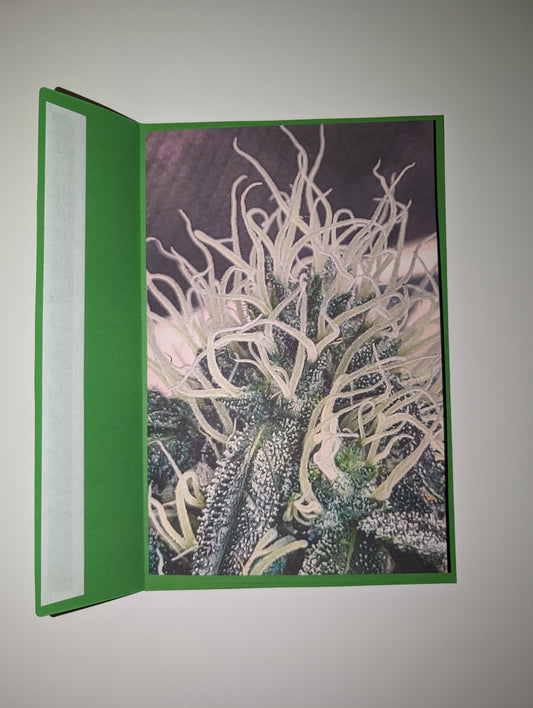 Greeting Card 03 Great Buds
