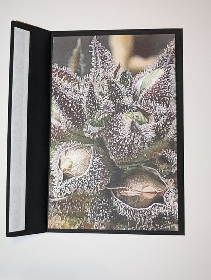 Greeting Card 06 Congratulations
