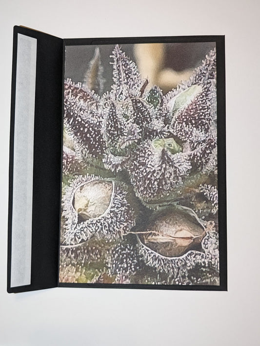 Greeting Card 06 Congratulations