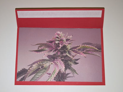 Greeting Card 08 Thank You