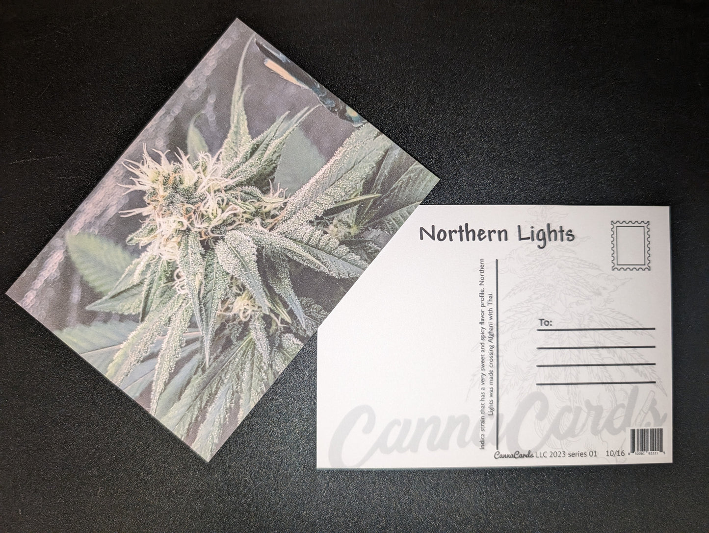 Postcard 10 Northern Lights