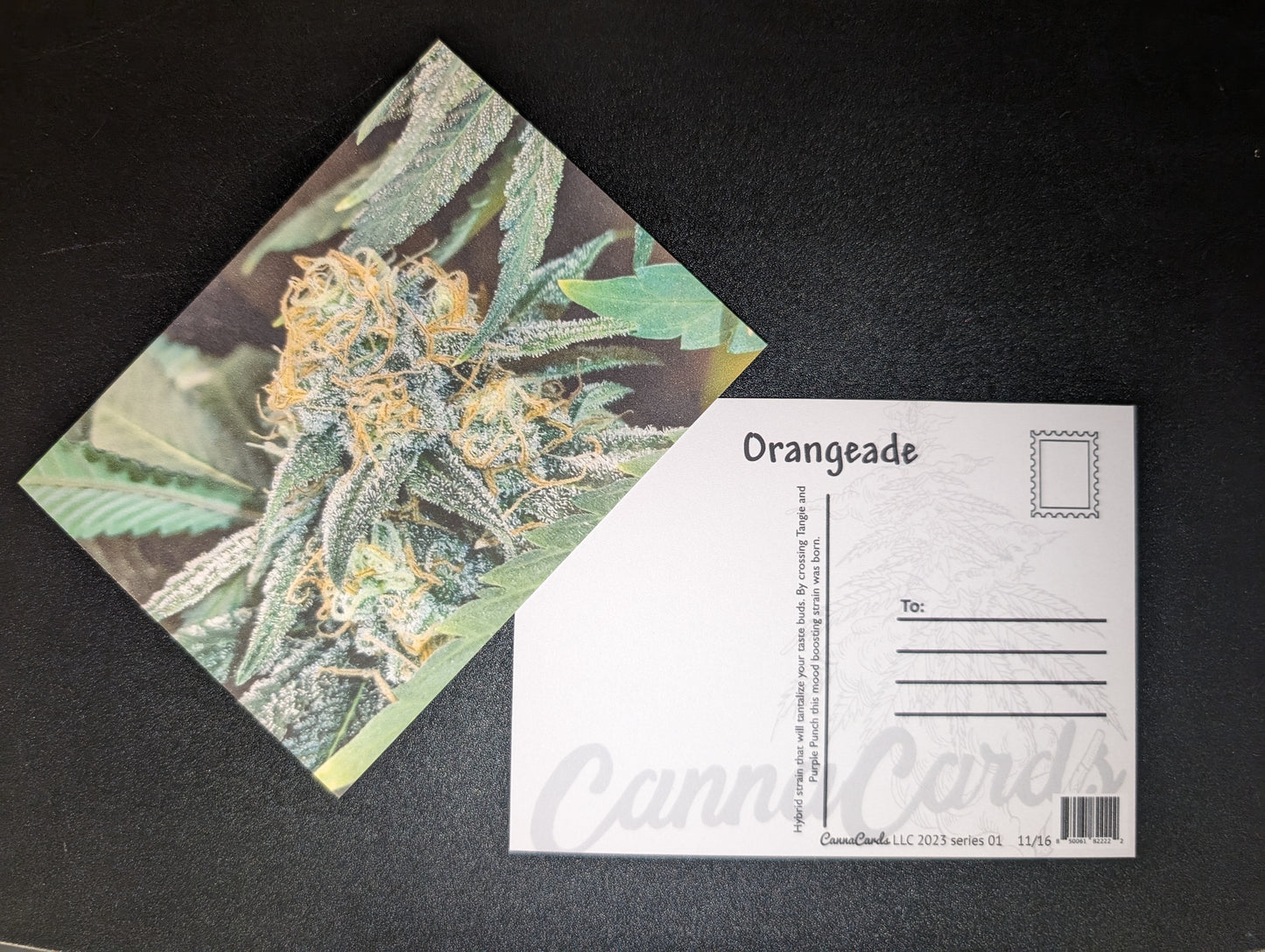 Postcard 11 Orangeade