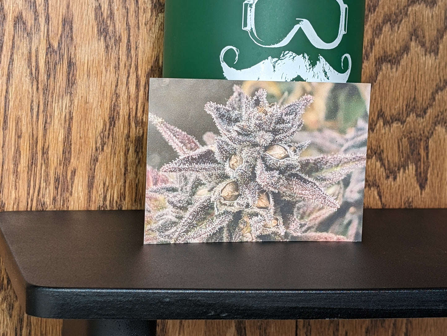 Postcard 13 Purple Terps