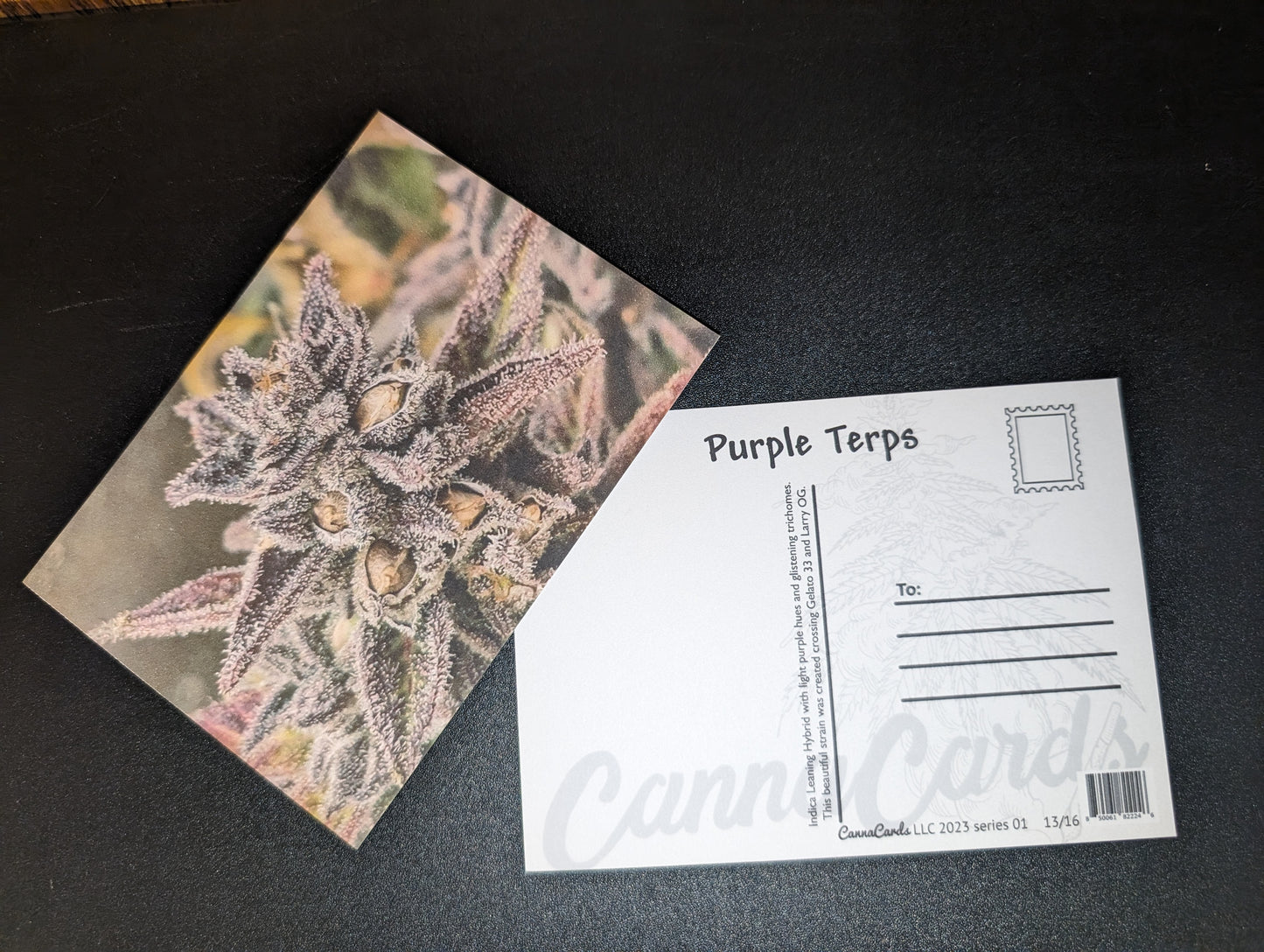 Postcard 13 Purple Terps