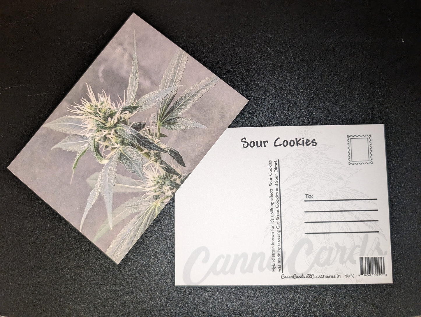 Postcard 14 Sour Cookies