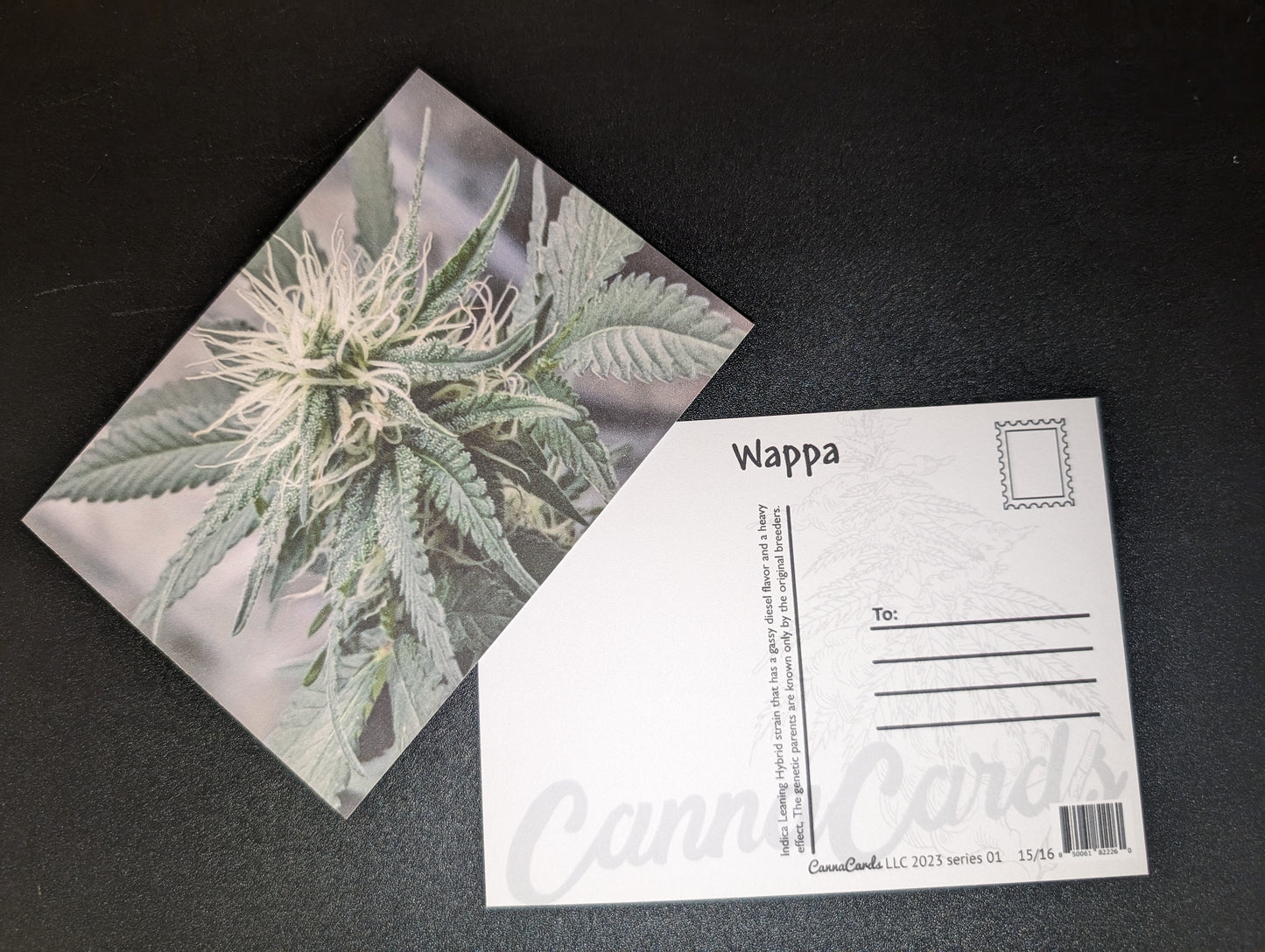Postcard 15 Wappa