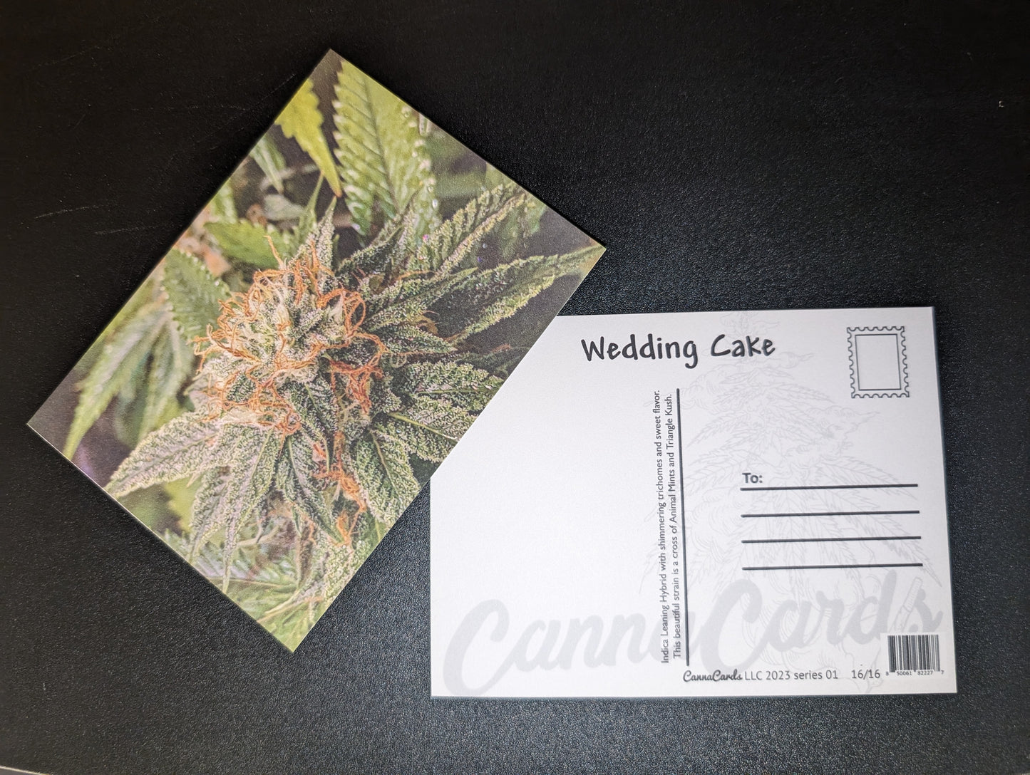 Postcard 16 Wedding Cake