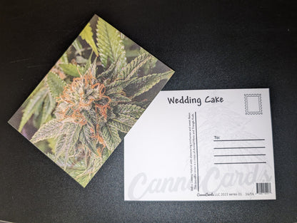 Postcard 16 Wedding Cake