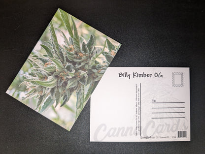 Postcard 02 Billy Kimber OG