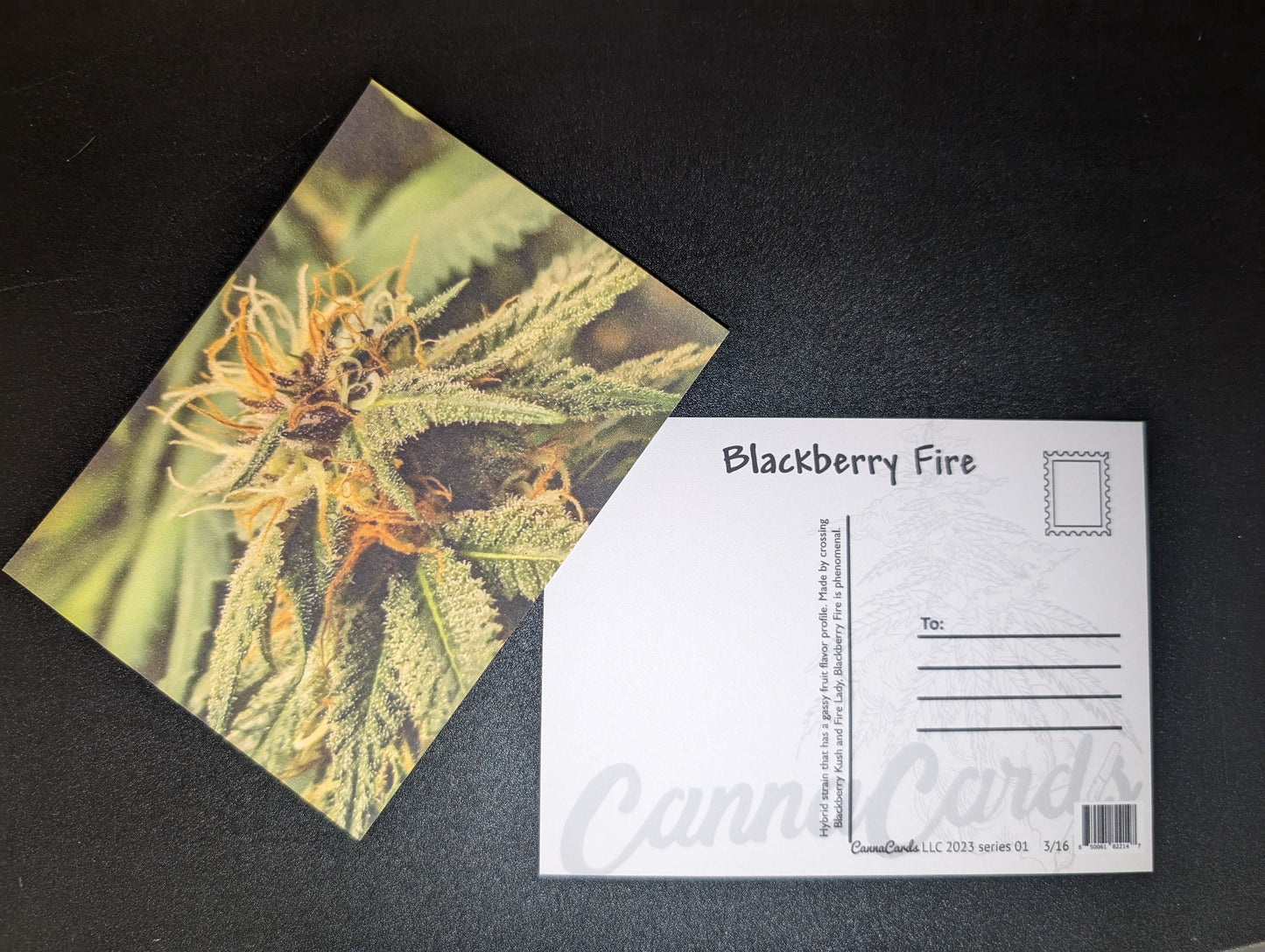 Postcard 03 Blackberry Fire