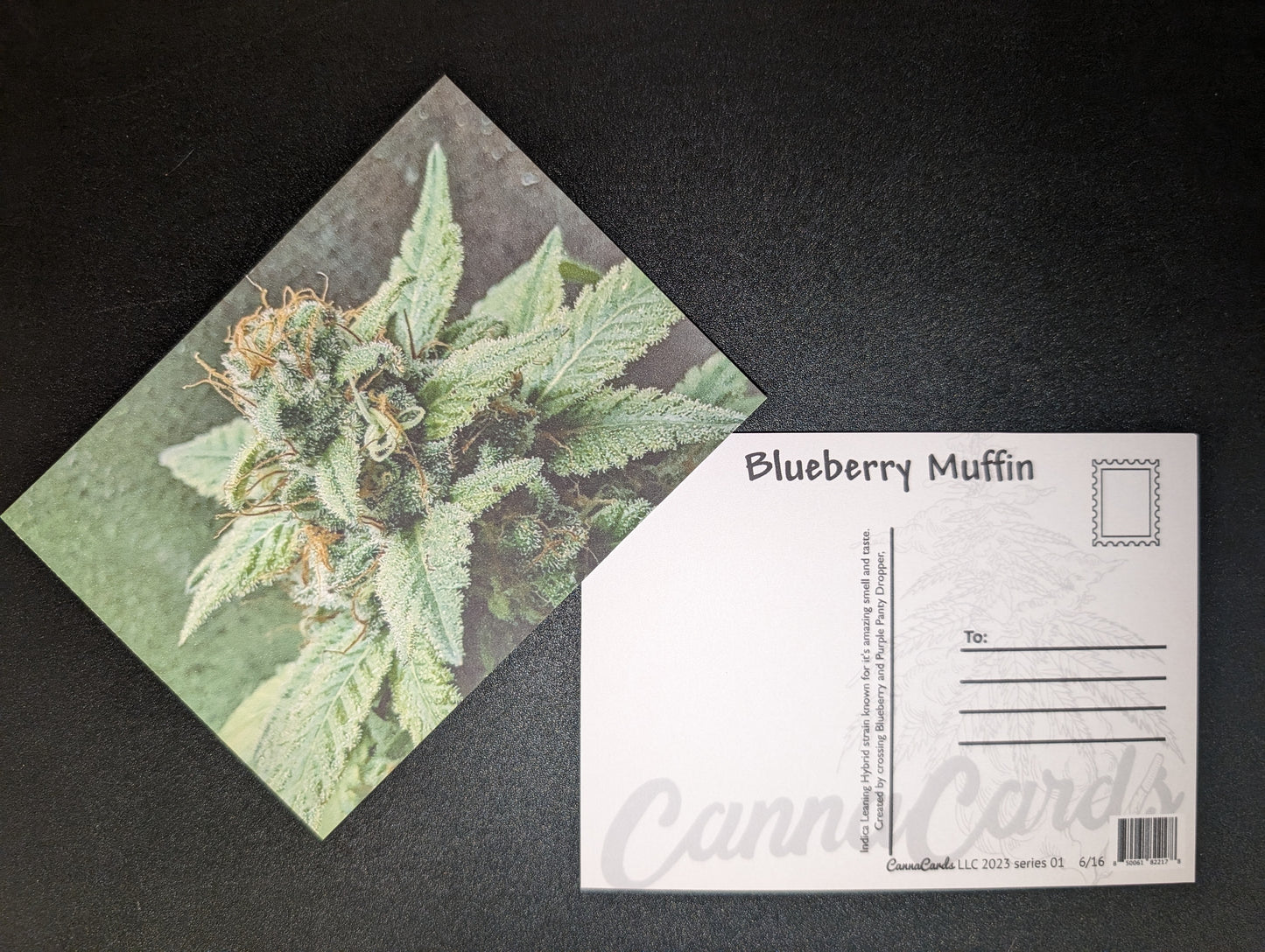 Postcard 06 Blueberry Muffin