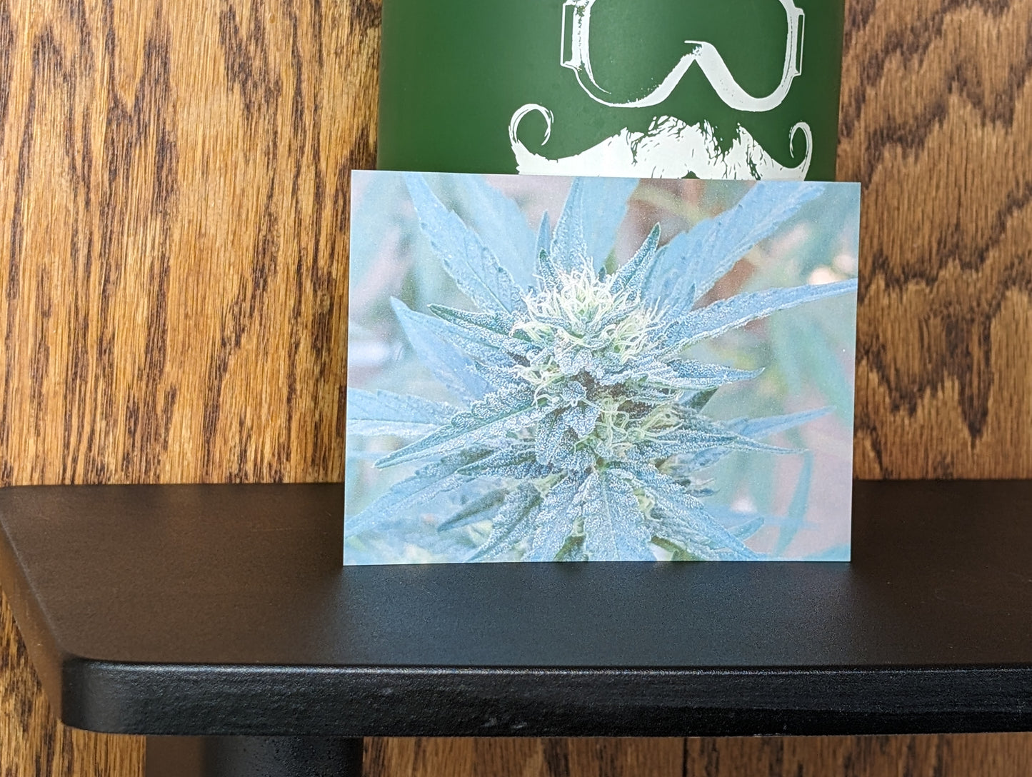 Postcard 07 Dutch Treat