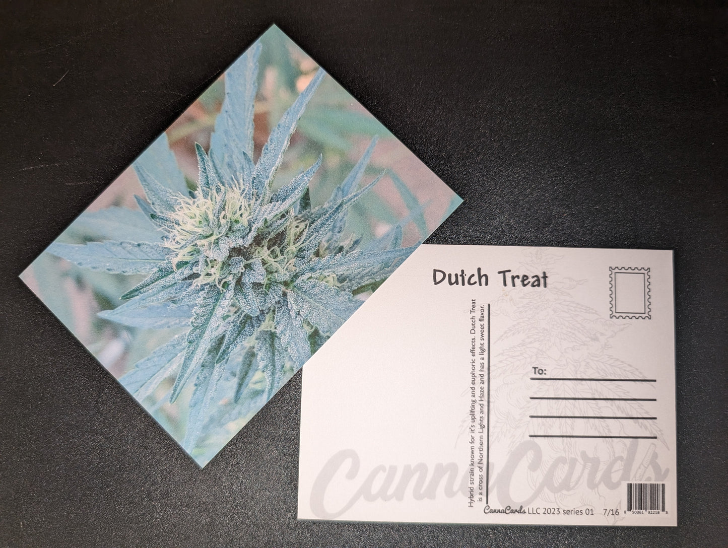 Postcard 07 Dutch Treat