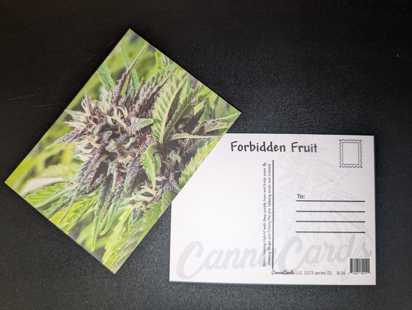 Postcard 08 Forbidden Fruit
