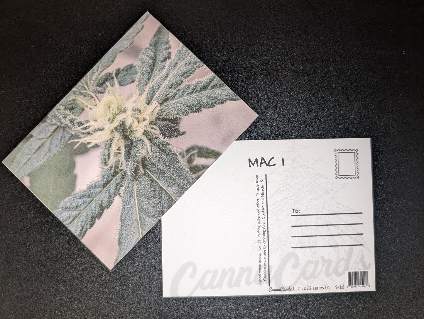 Postcard 09 MAC 1
