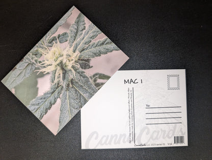 Postcard 09 MAC 1